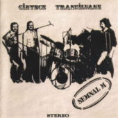Chart track